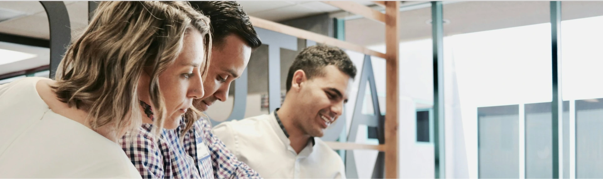 Program management consulting